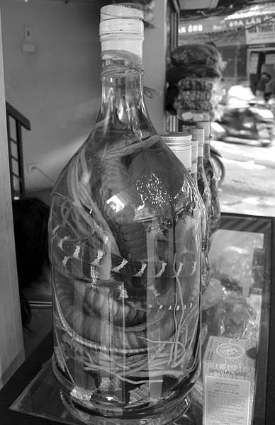 snake wine.jpg