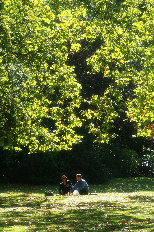 a sunny day