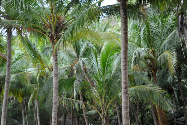 Seven Commando Beach