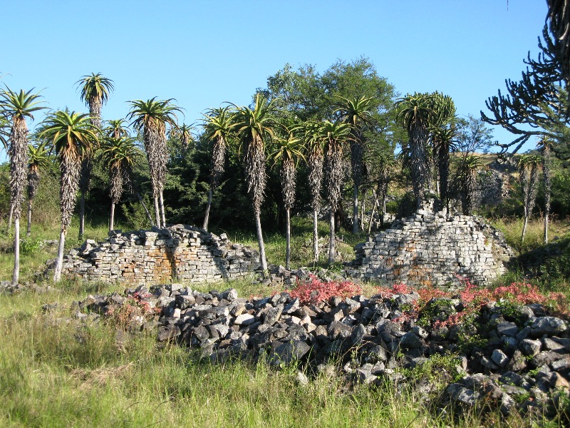 Great Zimbabwe