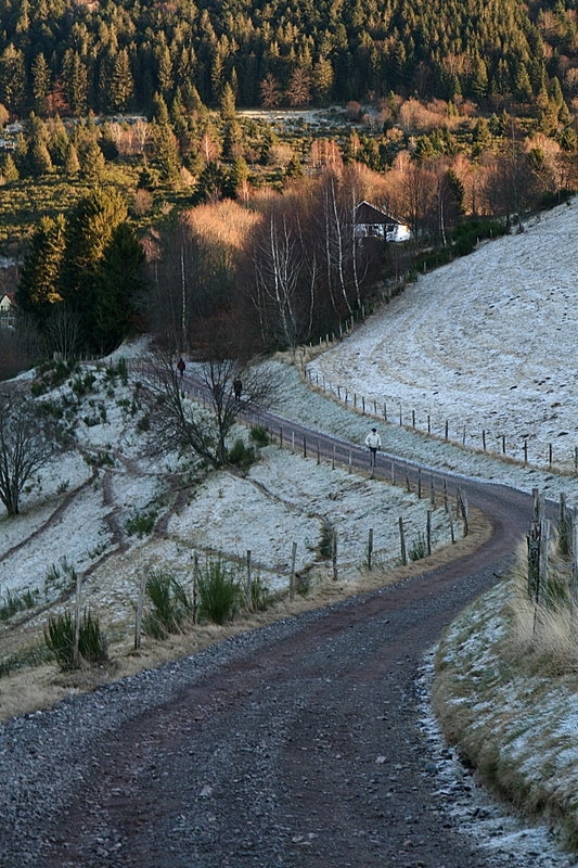 the long and winding road.