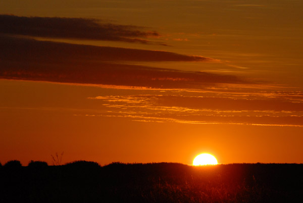 Sunrise, Shoebill Island, Bangweulu Swamps