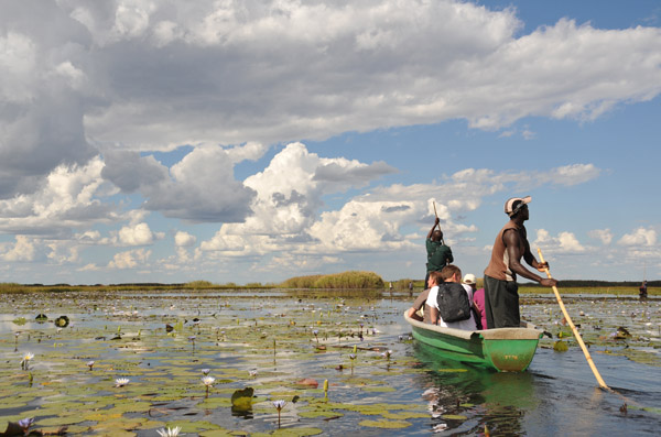 Bangweulu Swamps, Zambi