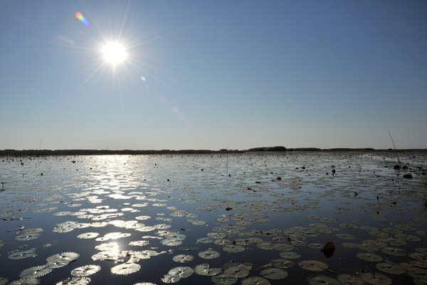 Early morning, Bangweulu Swamps