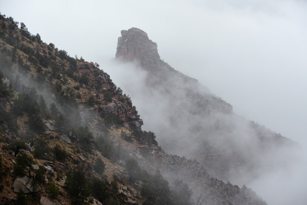 AZ Jan13 0877.jpg