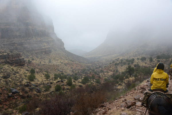 AZ Jan13 0899.jpg
