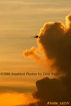 American Airlines B737-823 takeoff at sunset airline aviation stock photo #SS06_1625V