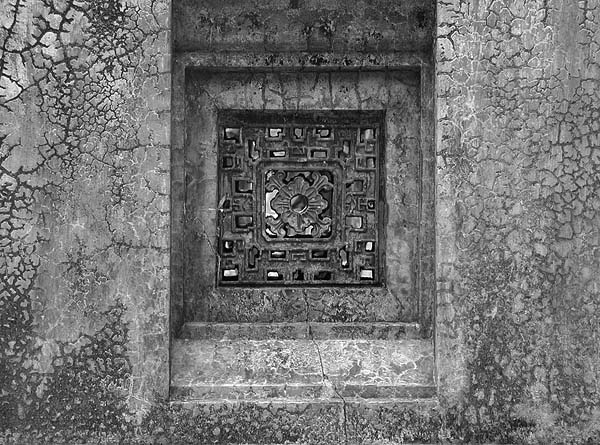 wall and window guard.jpg