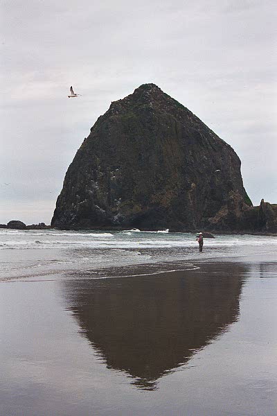 Haystack Rock, Cannon Beach