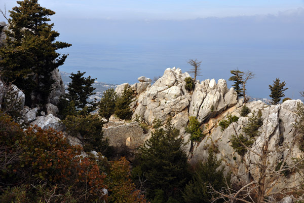 CyprusDec11 1309.jpg