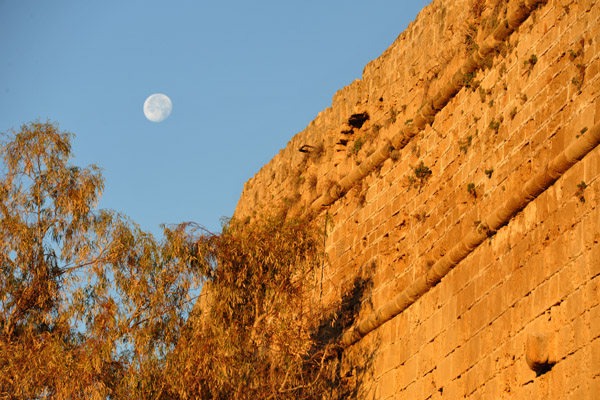 CyprusDec11 0431.jpg