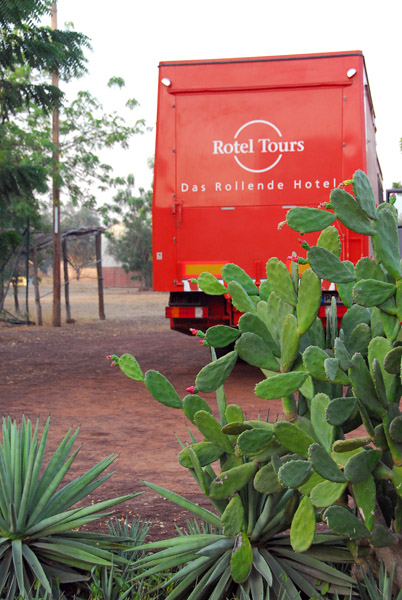 Cactus, Tambacounda