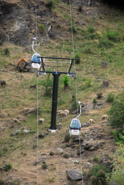 Queenstown Gondola
