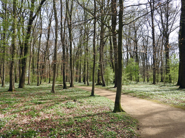 Staatspark Wilhelmbad, Hanau