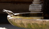 cloister # 9