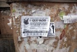 Quo vadis?