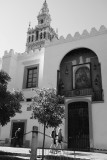 DSCF7321.jpg