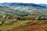 les monts du Beaujolais