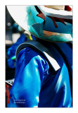 Paris Tropical Carnival 2011 - 10