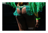Paris Tropical Carnival 2011 - 12