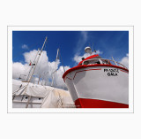 Nazares harbour 5