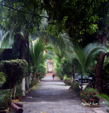 Hotel Garden