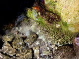 P1140979-1.JPG