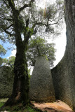 Great Zimbabwe Ruins