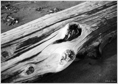 u11/rossrtx/medium/3857511.DriftLog.jpg