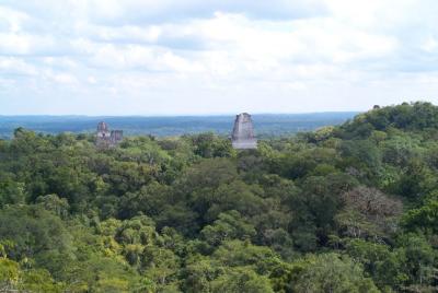 u14/dztang/medium/41734005.tikal.jpg
