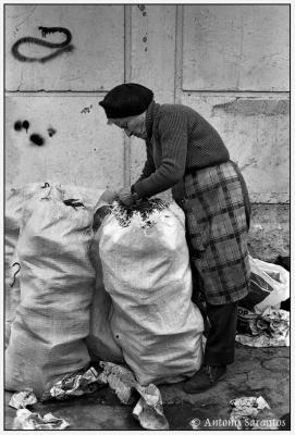 u17/antonis_sarantos/medium/42461345.Untitled14.jpg