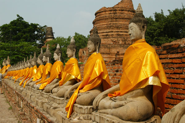 Line of Buddhas, Wat Yai Chai Mongkon