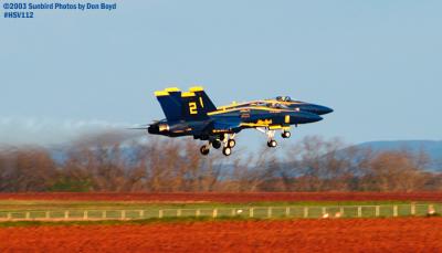 USN Blue Angels F/A-18 Hornets #1 and #2 military aviation air show stock photo #3826