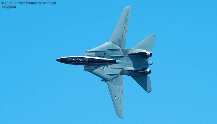 USN F-14D Tomcat #163414 military aviation air show stock photo #4286