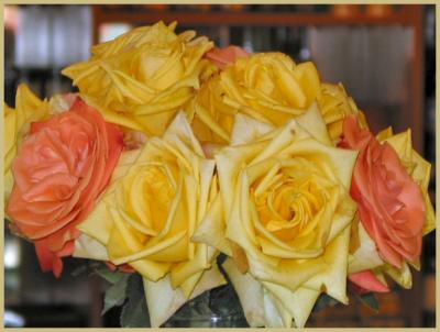 u34/clove/medium/34786608.Roses.jpg