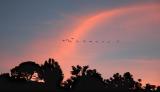 ...days journey into night
