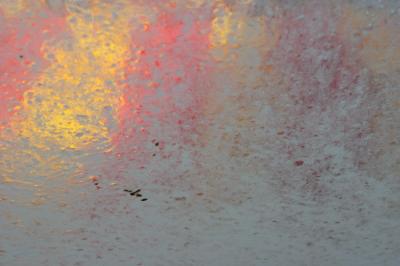 car_wash