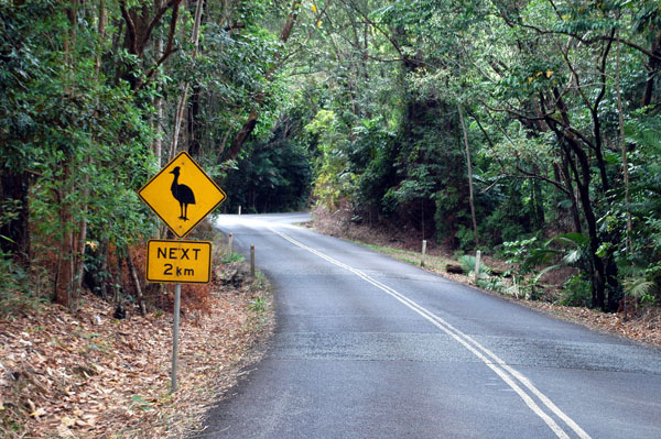 Cape Tribulation Road
